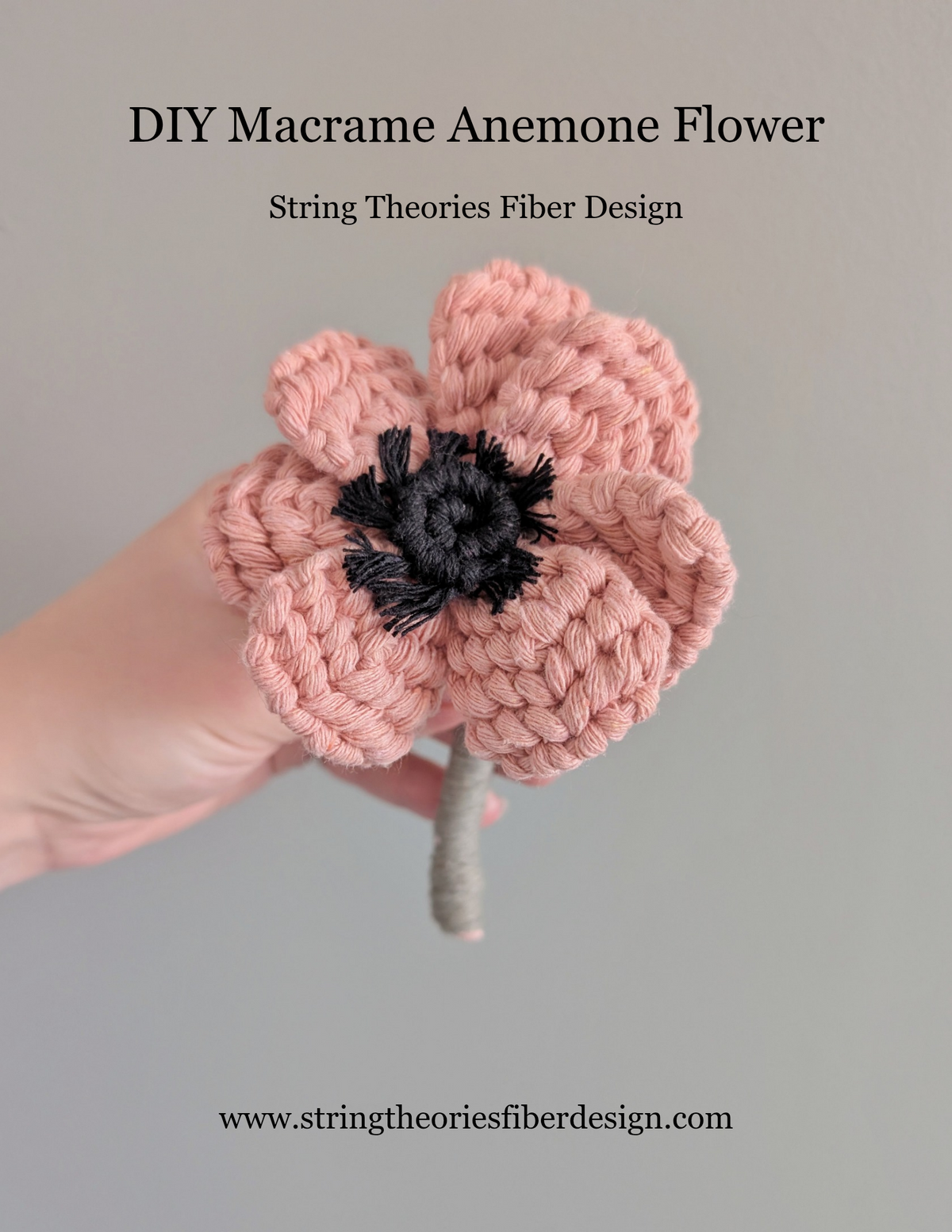 April - Anemone Flower