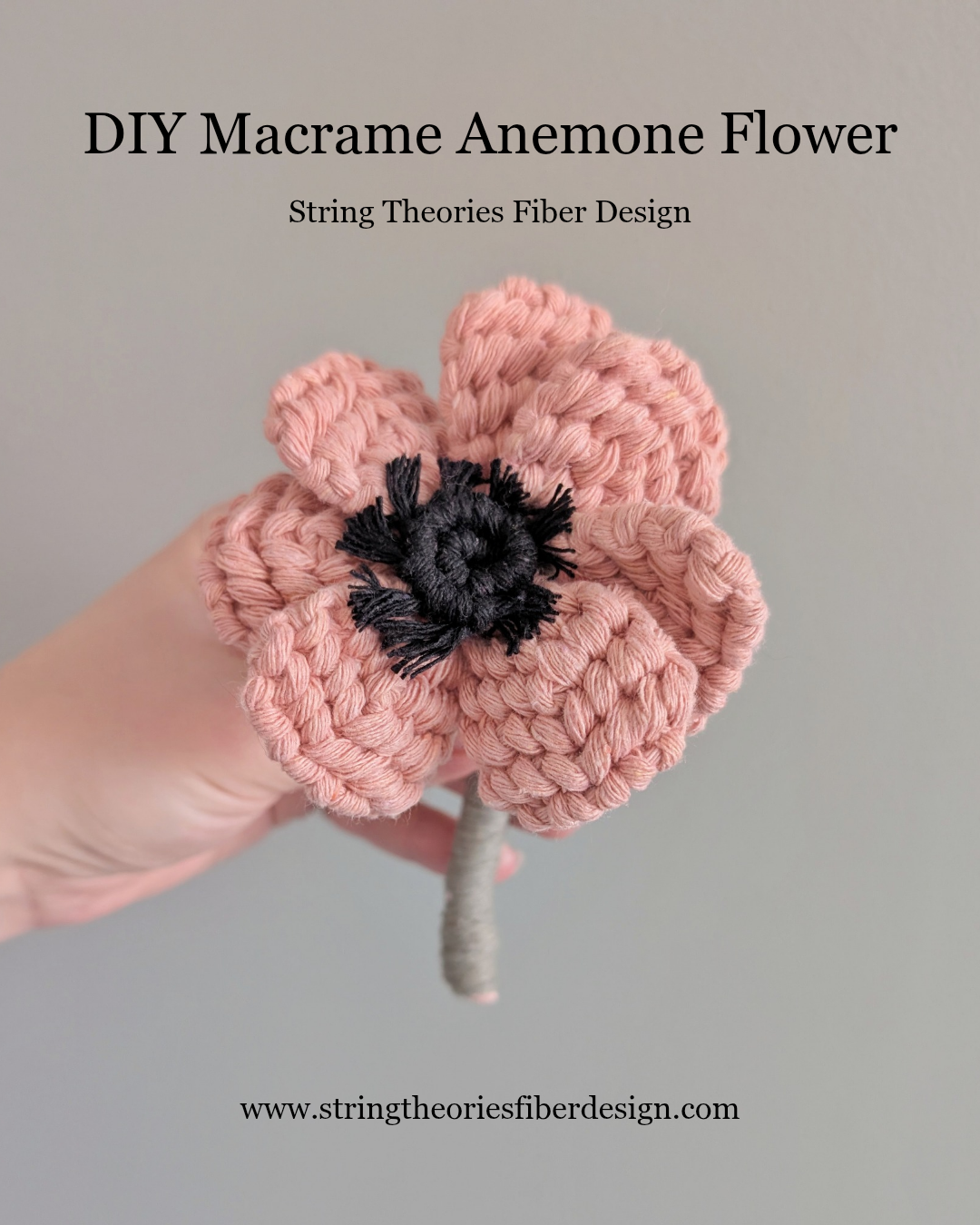 April - Anemone Flower