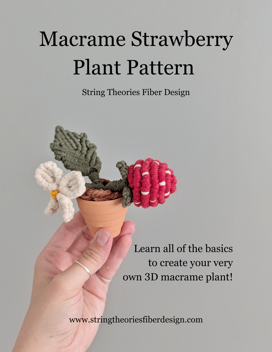 August - Macrame Strawberry Plant