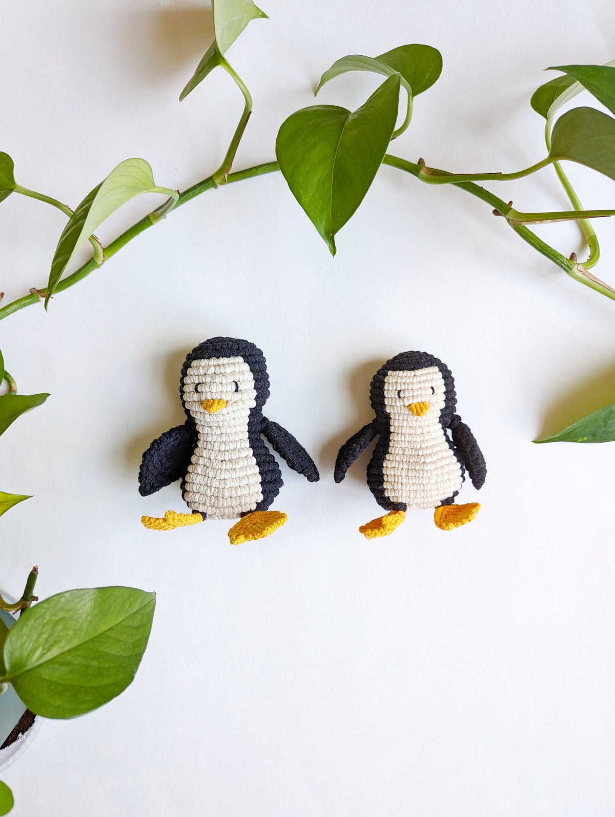 Domestika Kit - Penguin Materials