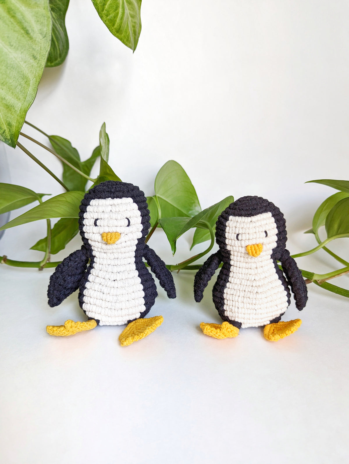 Domestika Kit - Penguin Materials