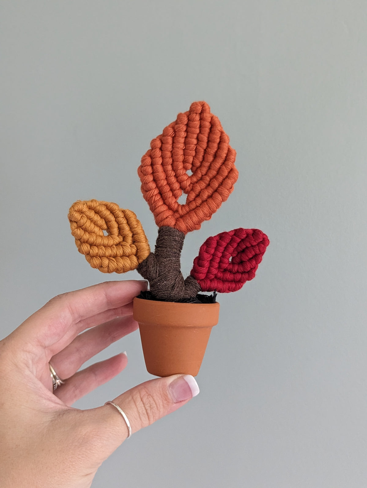 Macrame Leafy Mini Pot