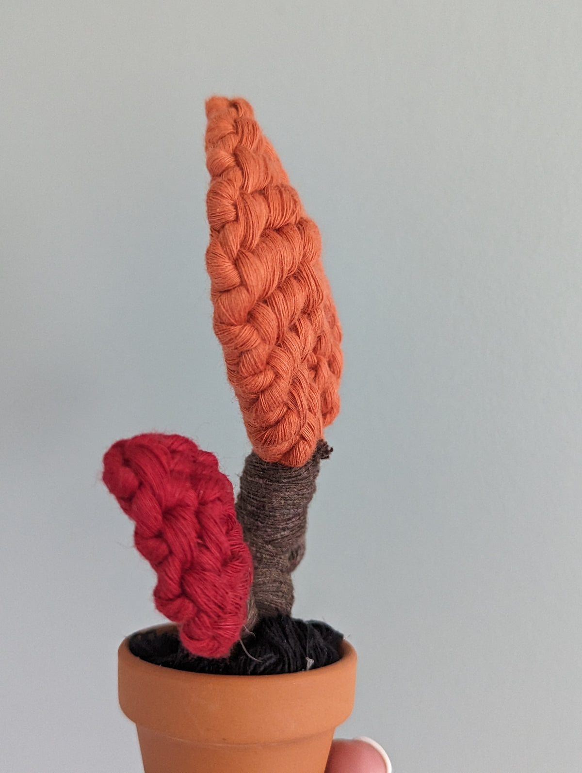 Macrame Leafy Mini Pot