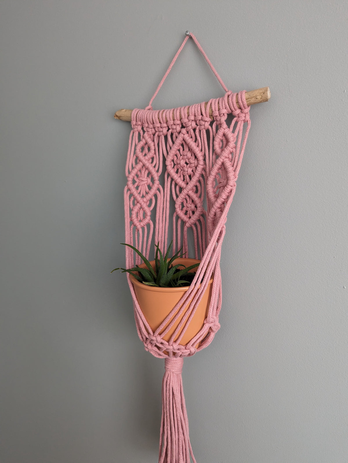 Macrame Wall Plant Hanger Pattern and Kit