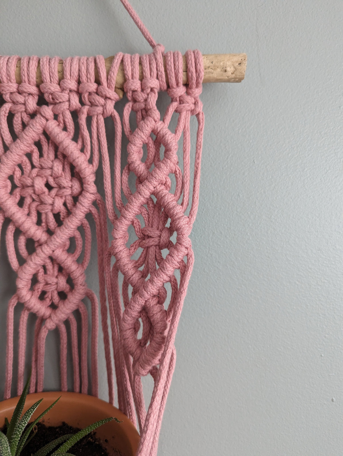 Macrame Wall Plant Hanger Pattern and Kit