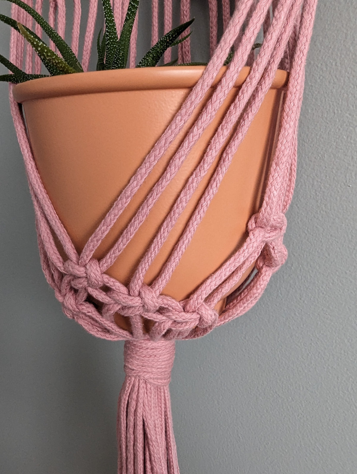 Macrame Wall Plant Hanger Pattern and Kit