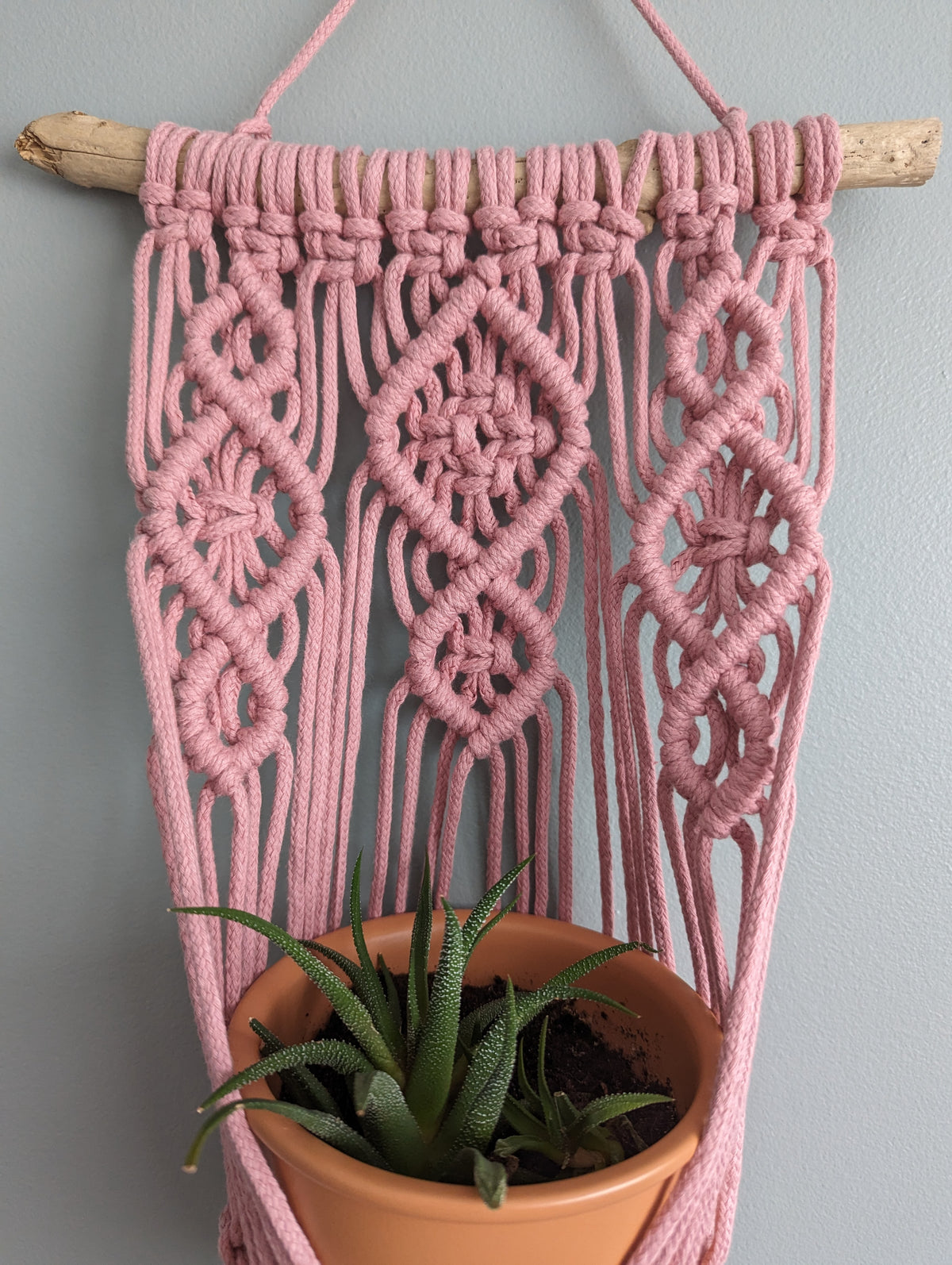 Macrame Wall Plant Hanger Pattern and Kit
