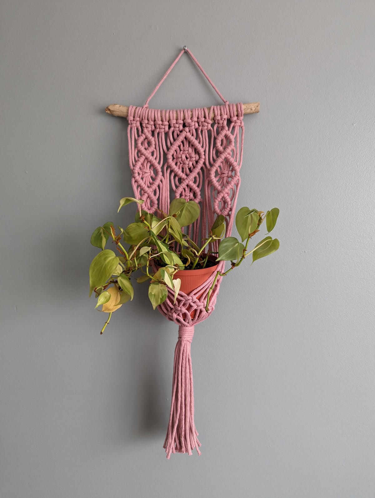 Macrame Wall Plant Hanger Pattern and Kit