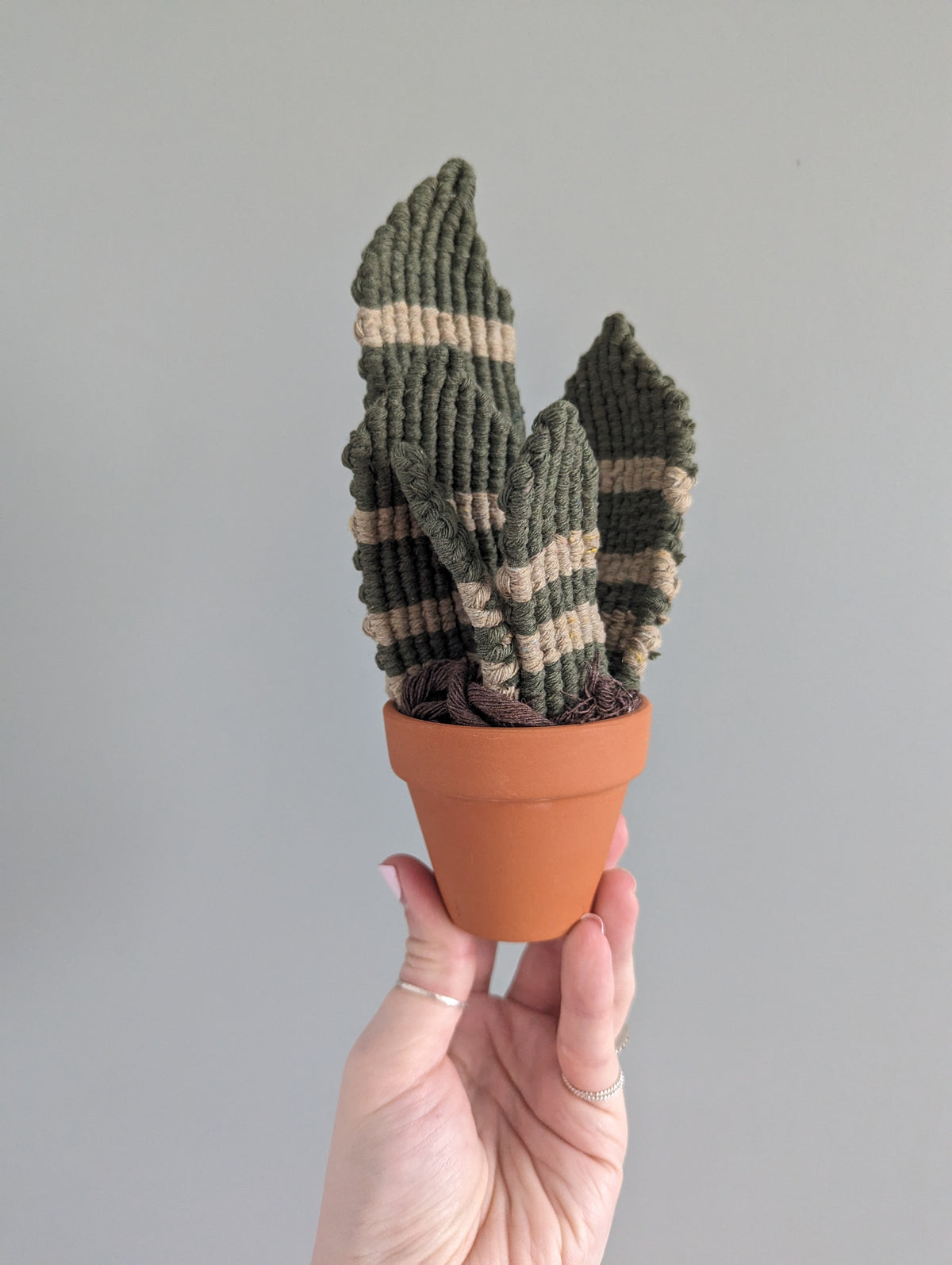 Macrame Snake Plant Pattern / Kit