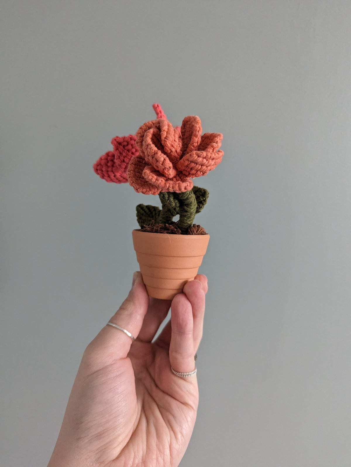 Macrame Flower Pot Pattern