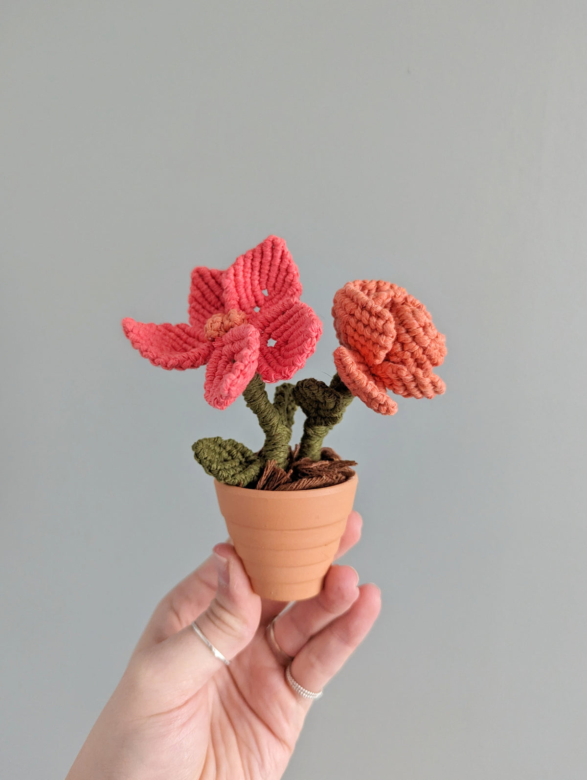 Macrame Flower Pot Pattern