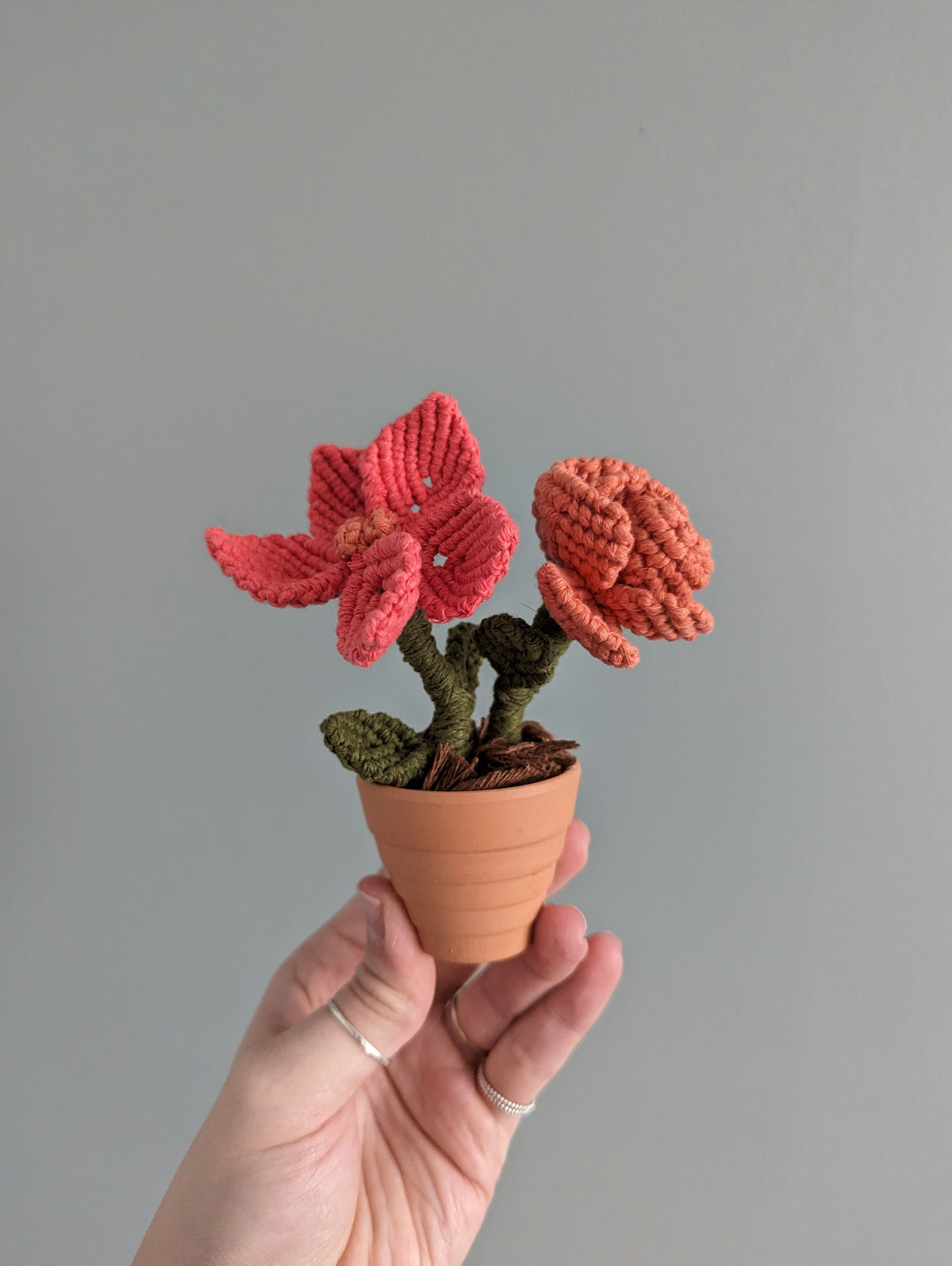 Macrame Flower Pot Pattern