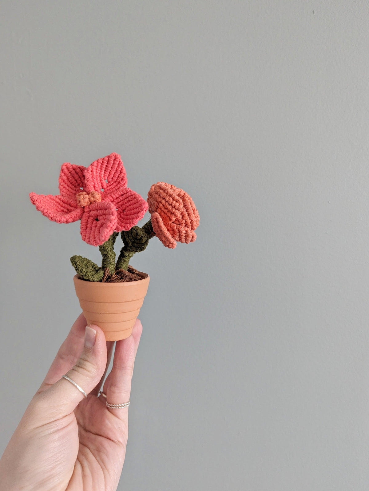 Macrame Flower Pot Pattern