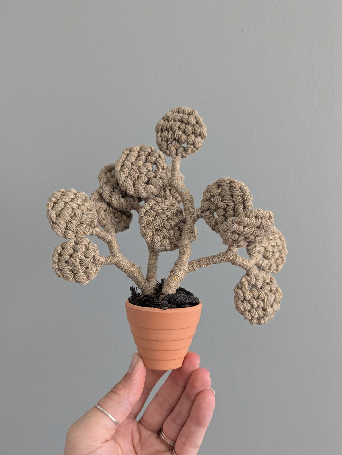 November - Macrame Mini Eucalyptus