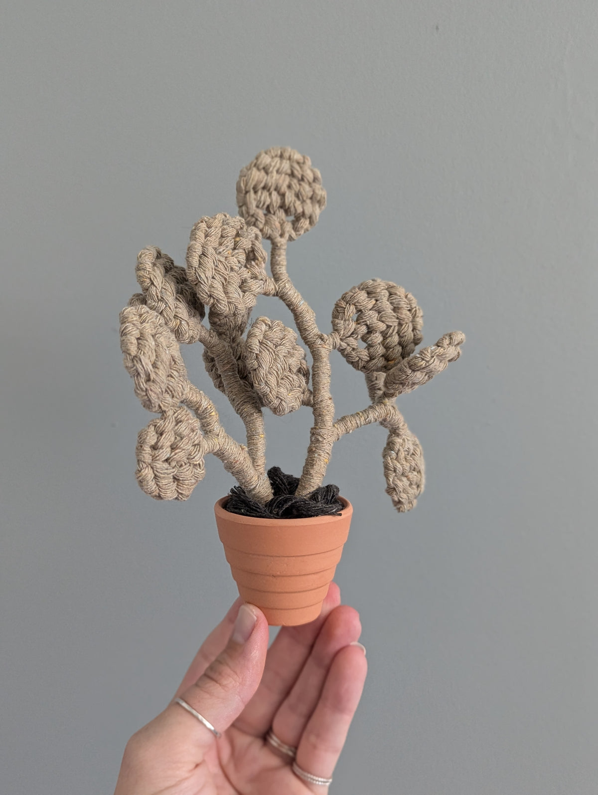 November - Macrame Mini Eucalyptus