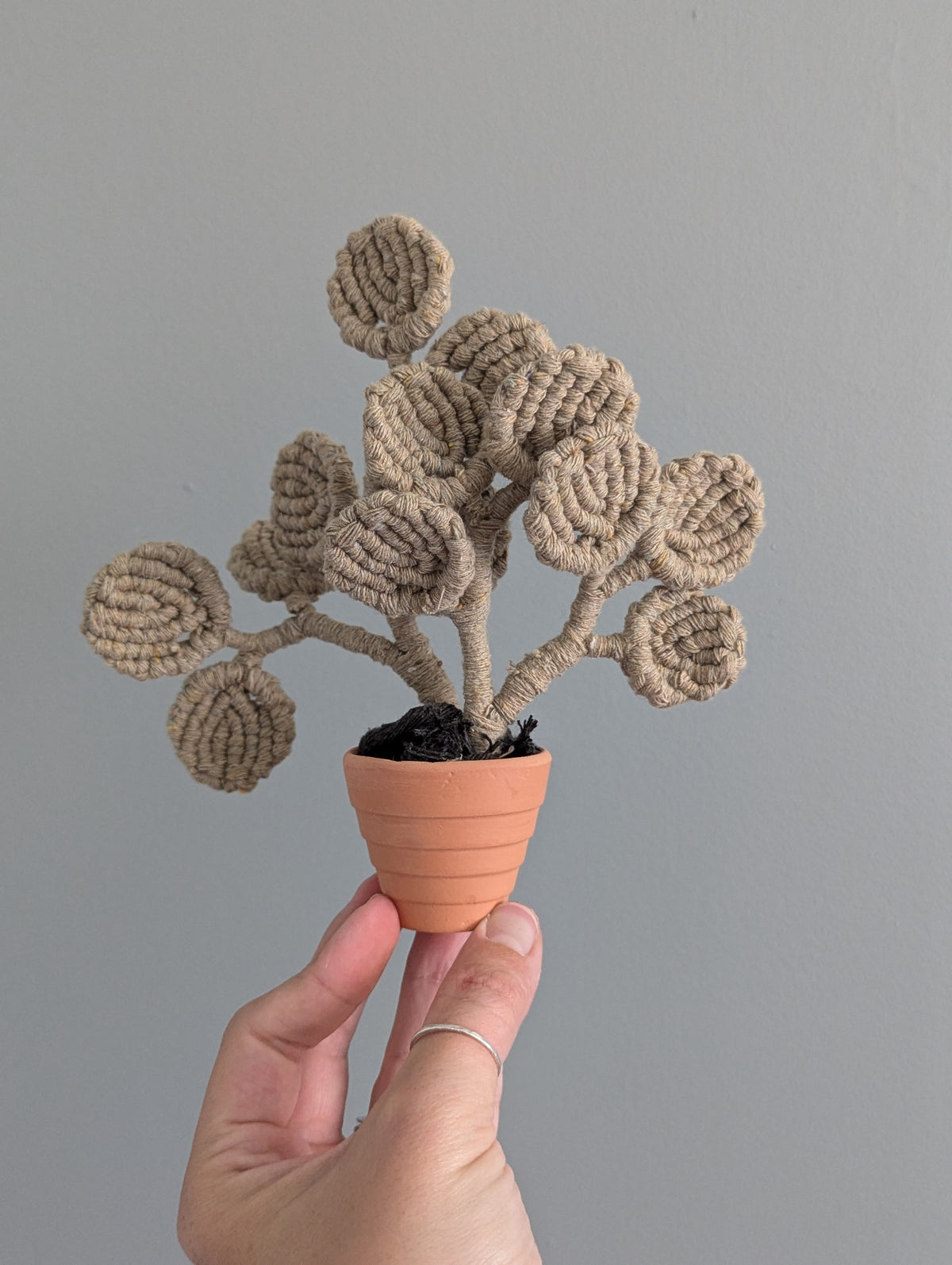 November - Macrame Mini Eucalyptus
