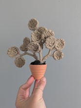 Load image into Gallery viewer, Silver Dollar Eucalyptus Pattern and Kit
