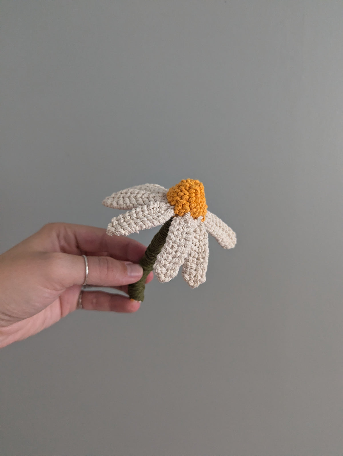 June - Macrame Echinacea Flower Pattern