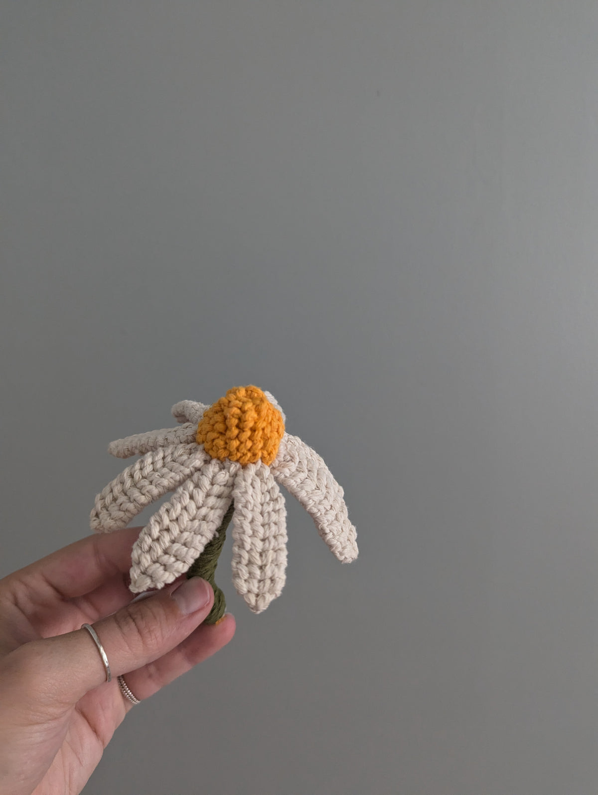 June - Macrame Echinacea Flower Pattern