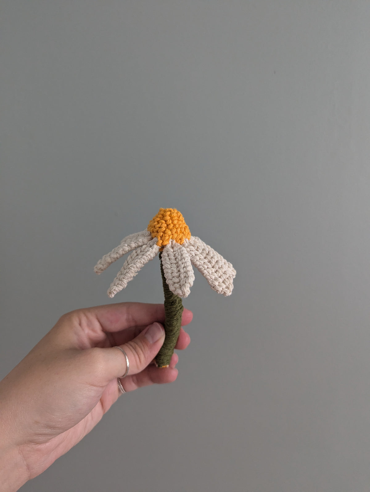 June - Macrame Echinacea Flower Pattern