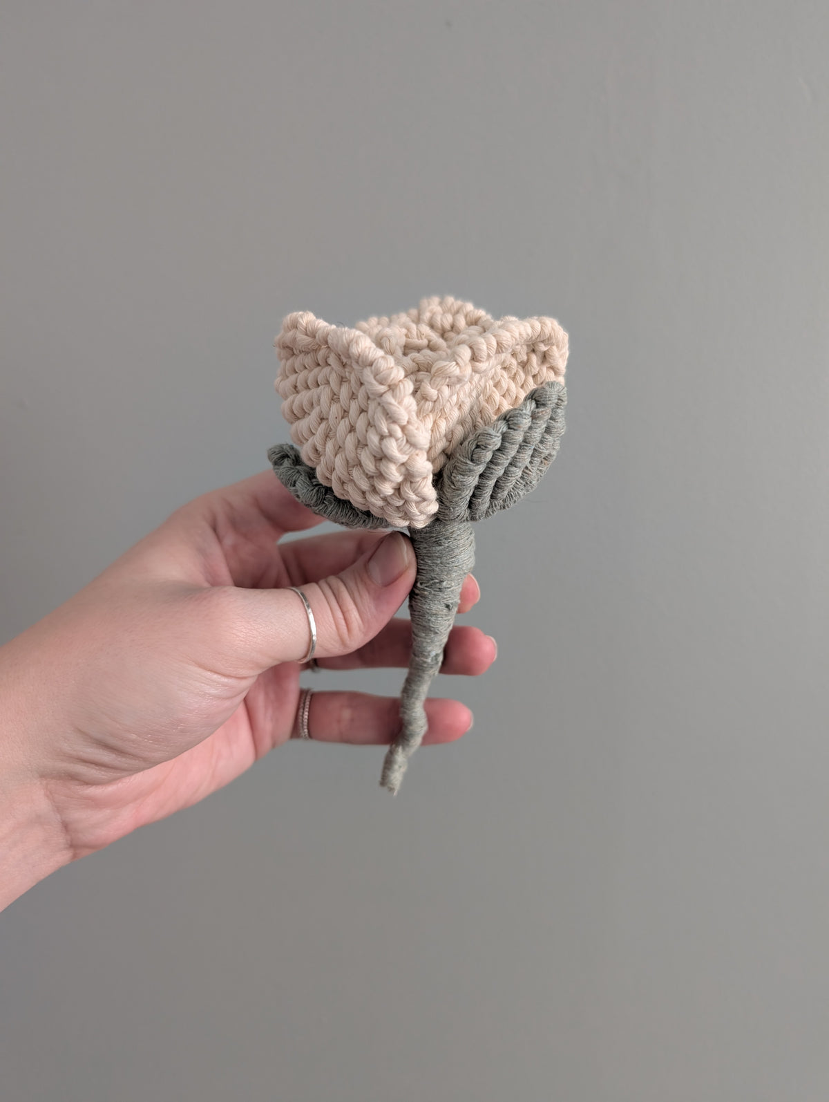 February - Macrame Glass Rose