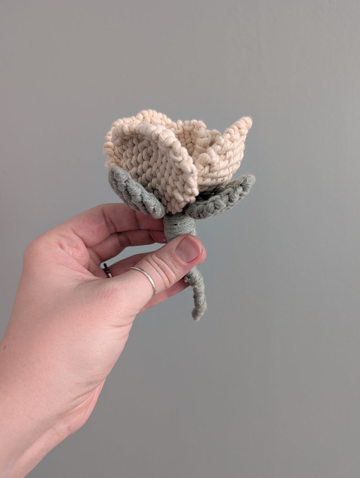 February - Macrame Glass Rose