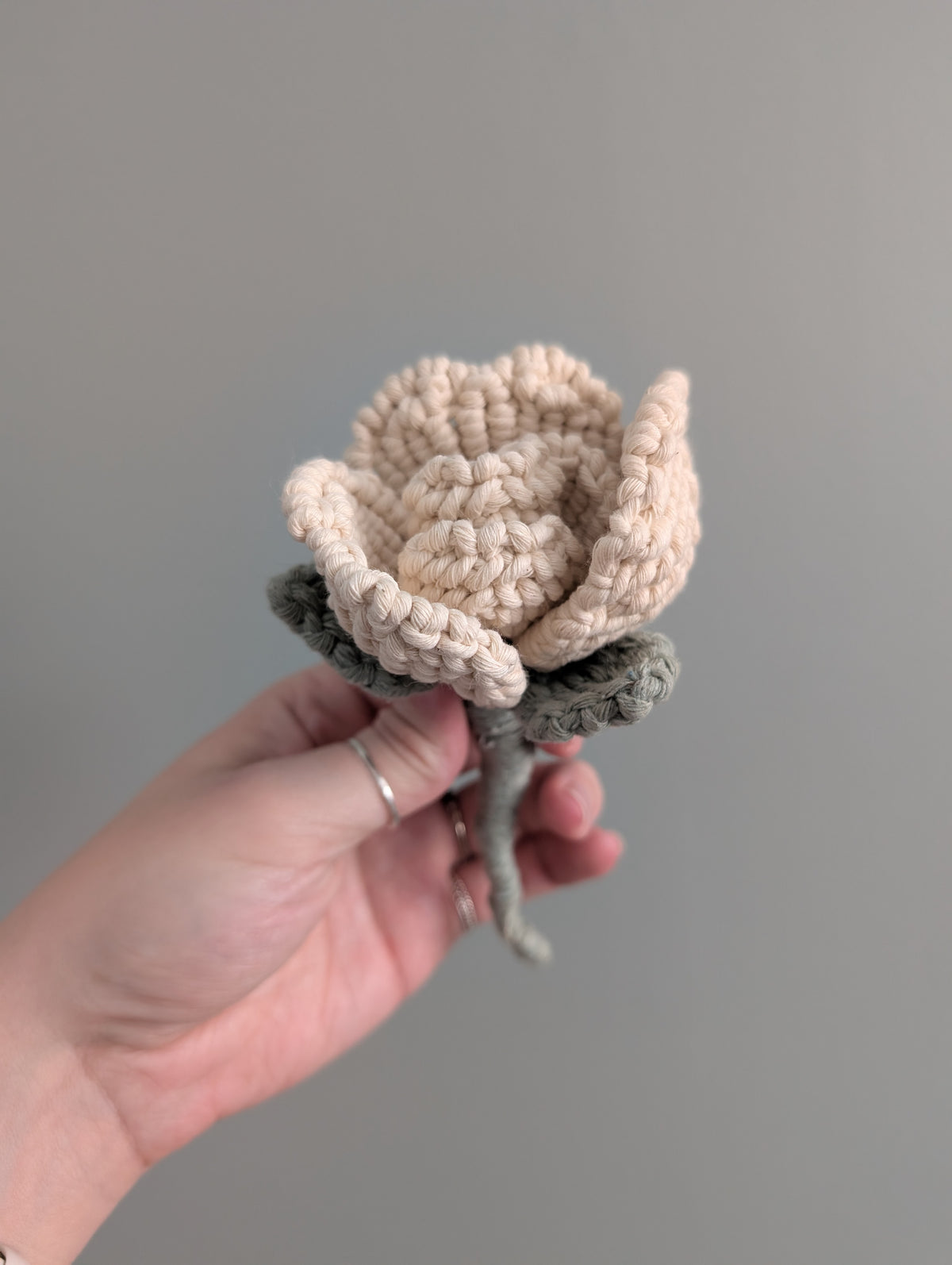 February - Macrame Glass Rose