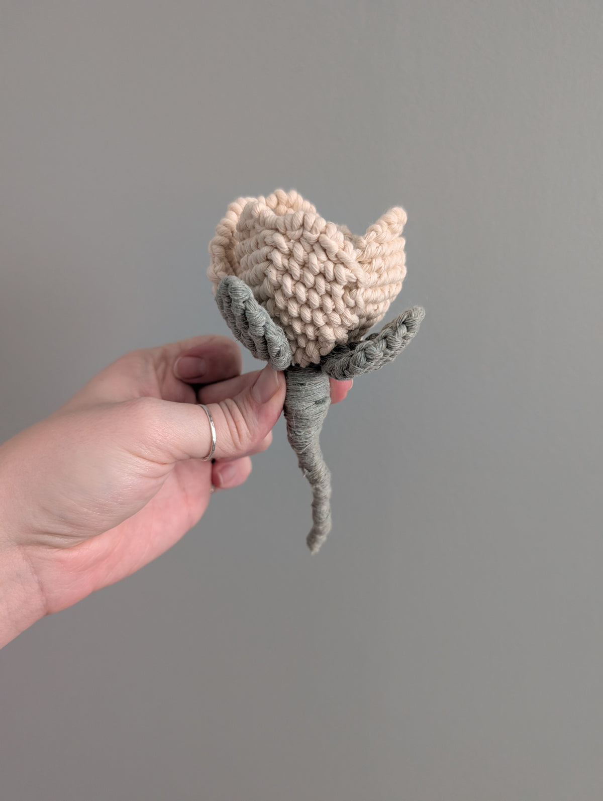 February - Macrame Glass Rose