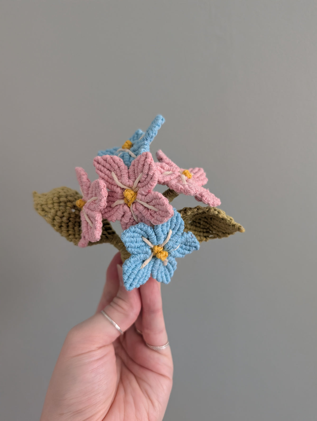 Macrame Forget me Knot Pattern / Kit