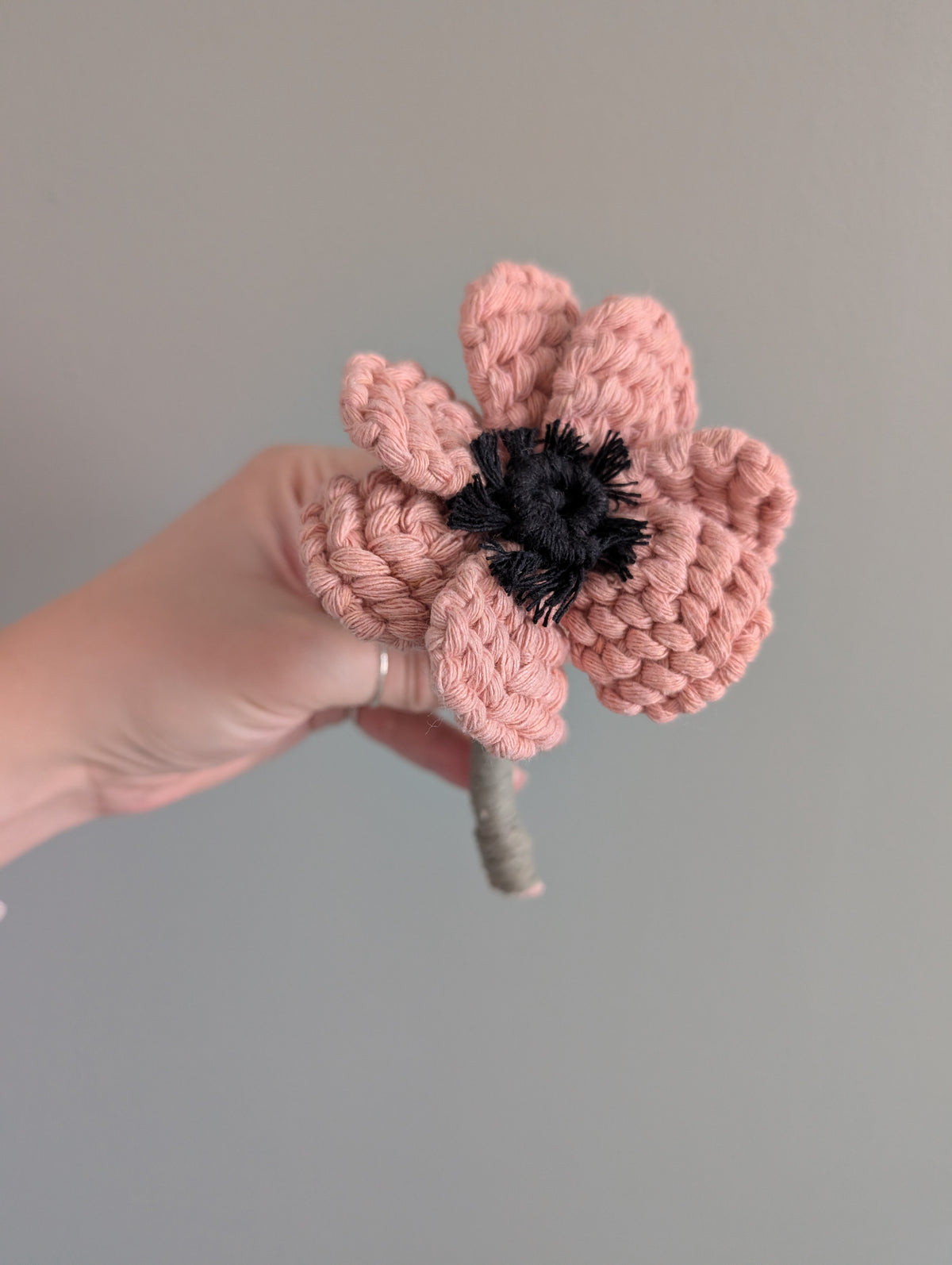 April - Anemone Flower