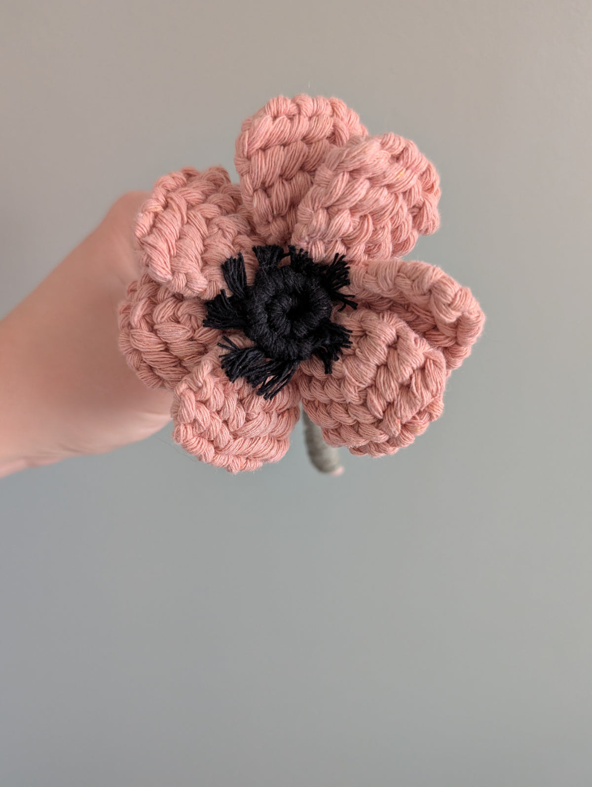April - Anemone Flower