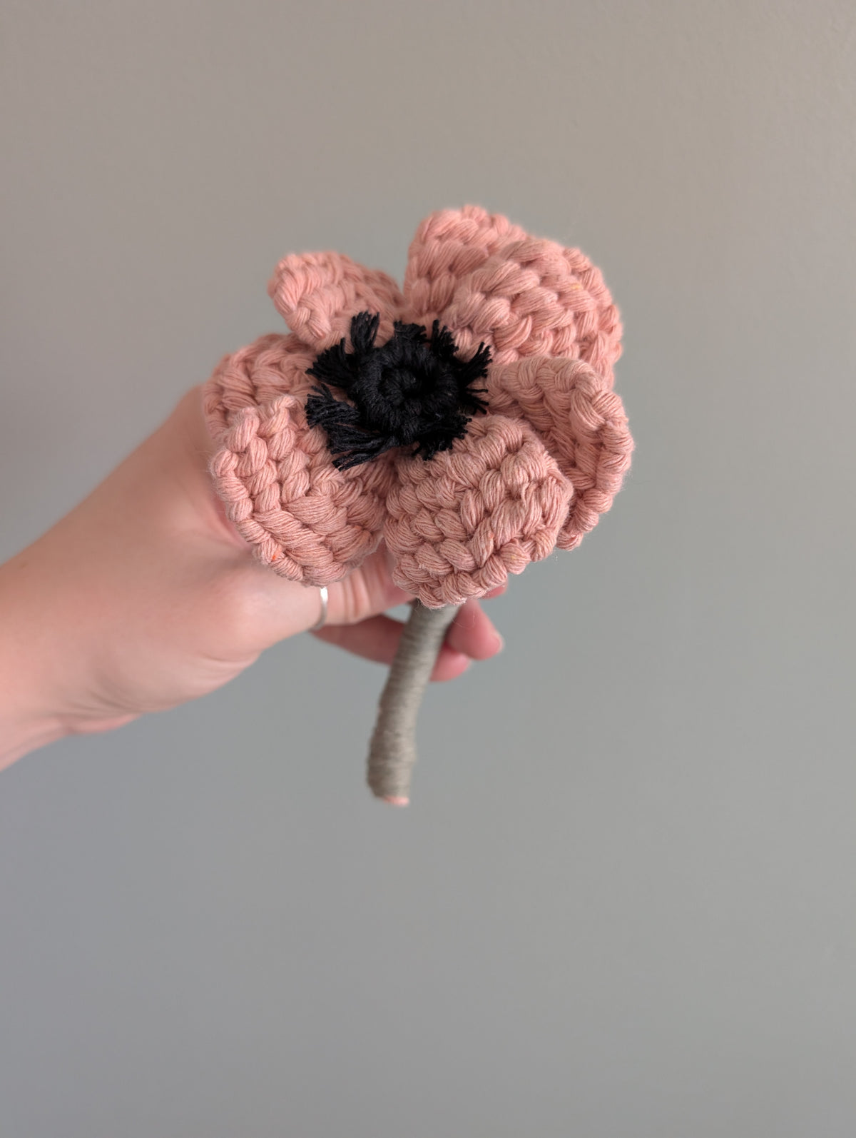 April - Anemone Flower
