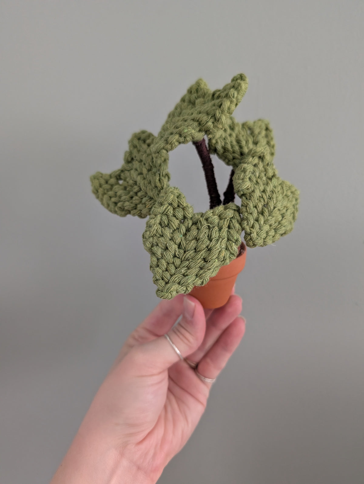 Macrame Elephant Ear Plant Pattern / Kit
