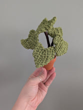 Load image into Gallery viewer, Macrame Elephant Ear Plant Pattern / Kit
