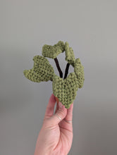 Load image into Gallery viewer, Macrame Elephant Ear Plant Pattern / Kit
