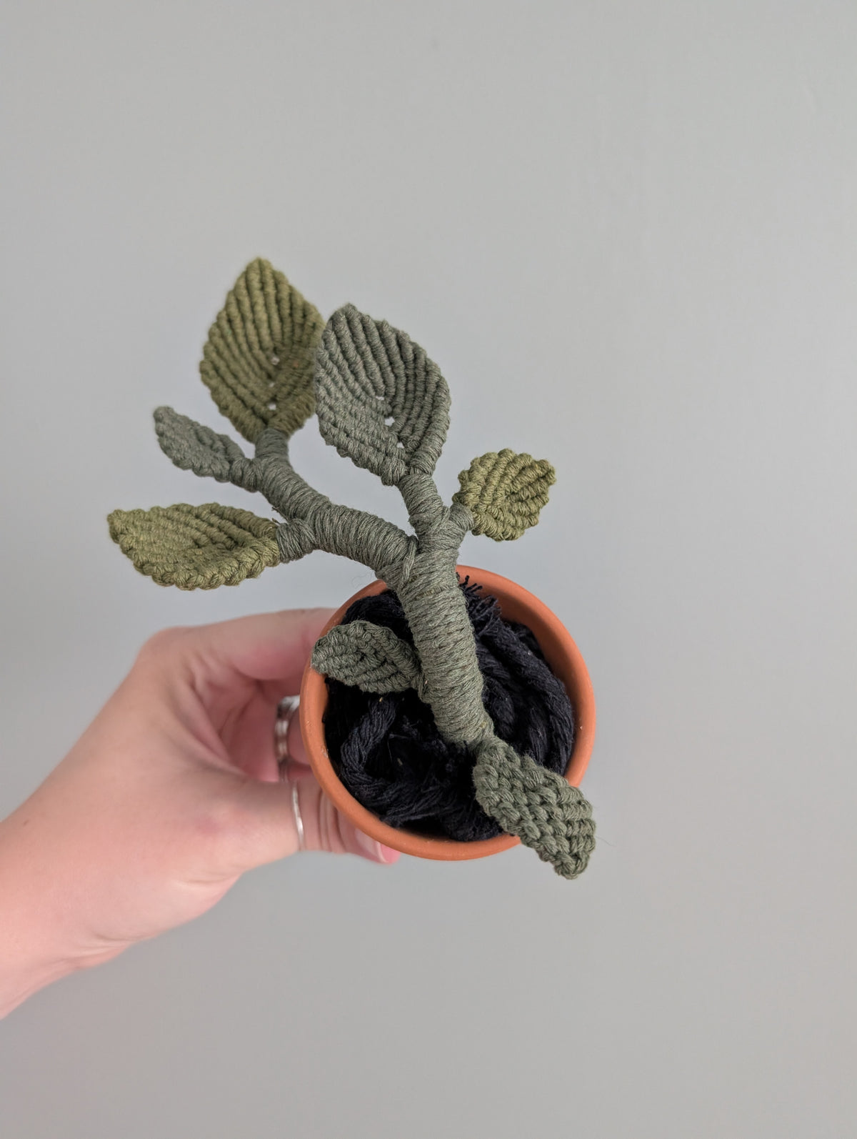 Macrame Pothos Plant Pattern / Kit