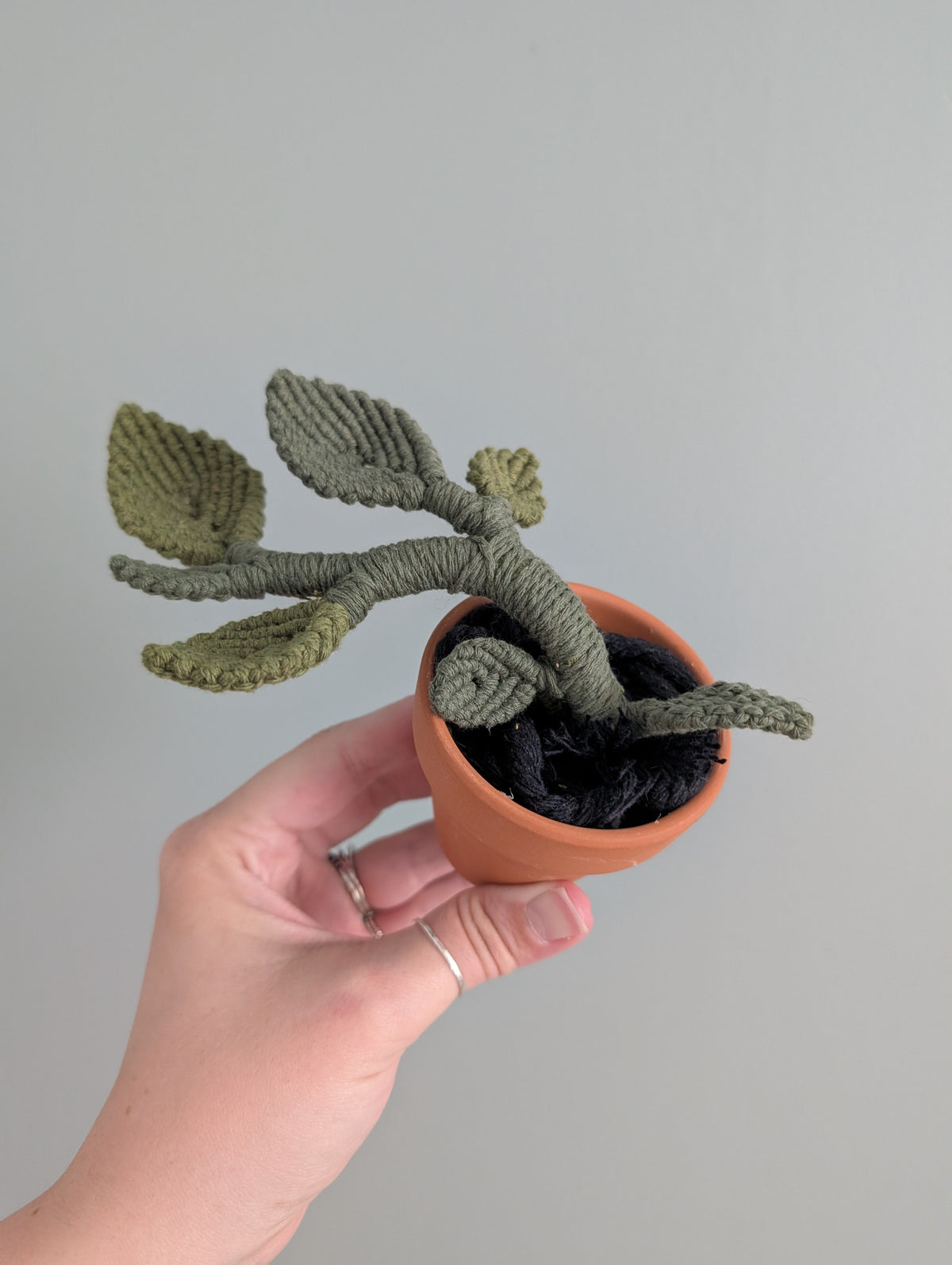 Macrame Pothos Plant Pattern / Kit