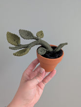 Load image into Gallery viewer, Macrame Pothos Plant Pattern / Kit

