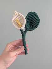 Load image into Gallery viewer, Macrame Peace Lily Plant Pattern / Kit
