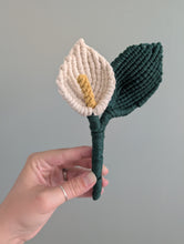 Load image into Gallery viewer, Macrame Peace Lily Plant Pattern / Kit
