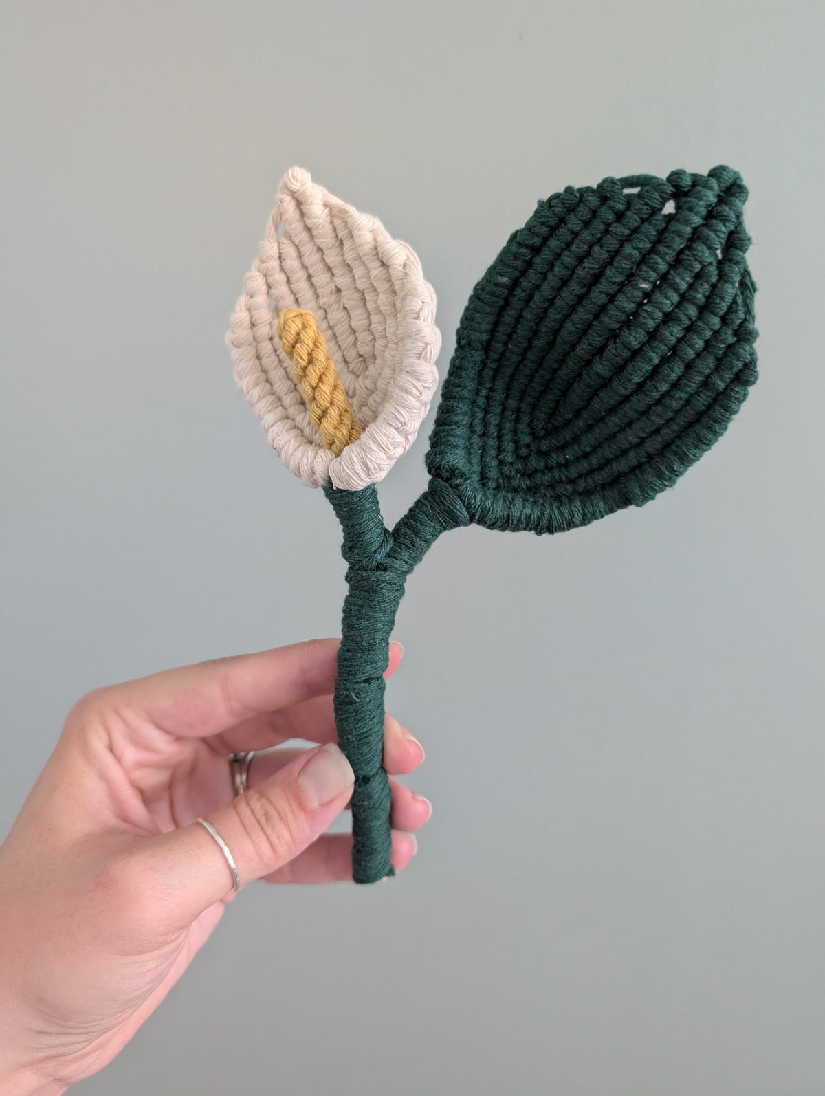 August - Peace Lily