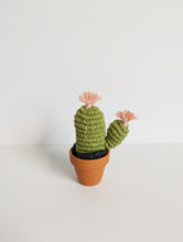 Load image into Gallery viewer, Macrame 3D Cactus Kit
