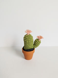 Macrame 3D Cactus Kit
