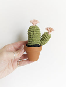 Macrame 3D Cactus Kit