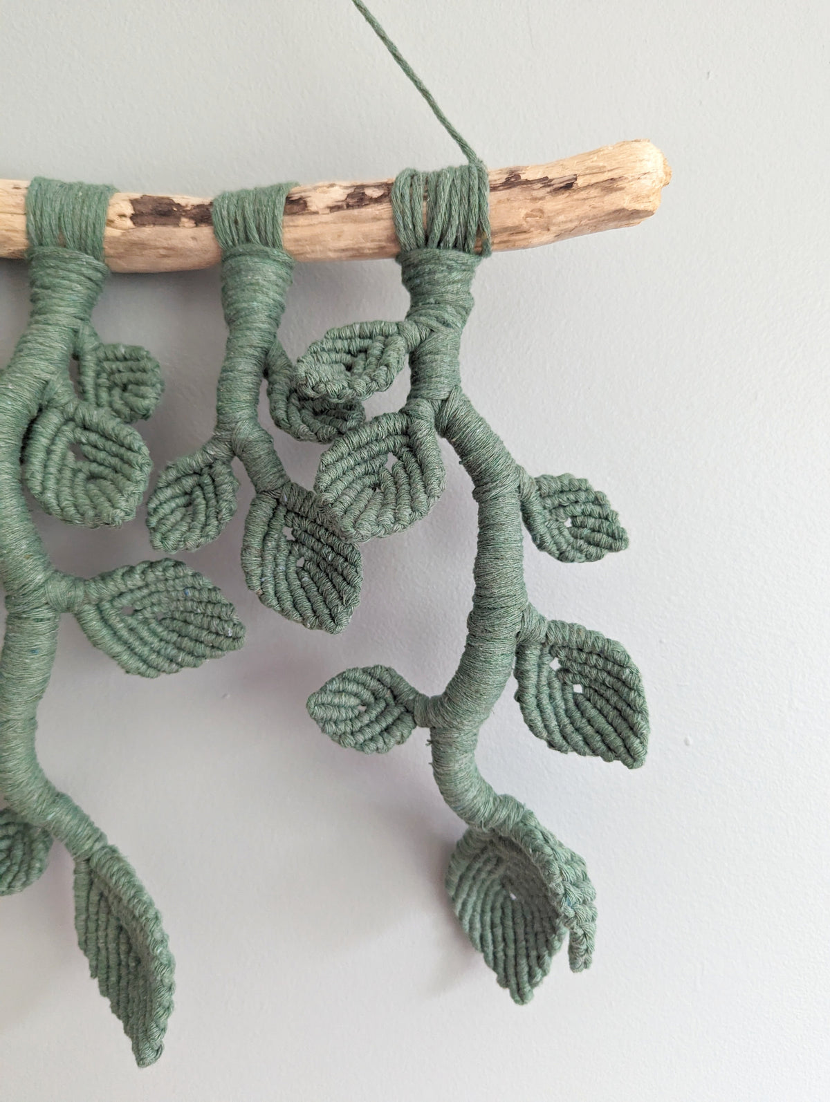 Ivy Green Macrame Wall Hanging - Hanging Vines and Leaves - Sculpture