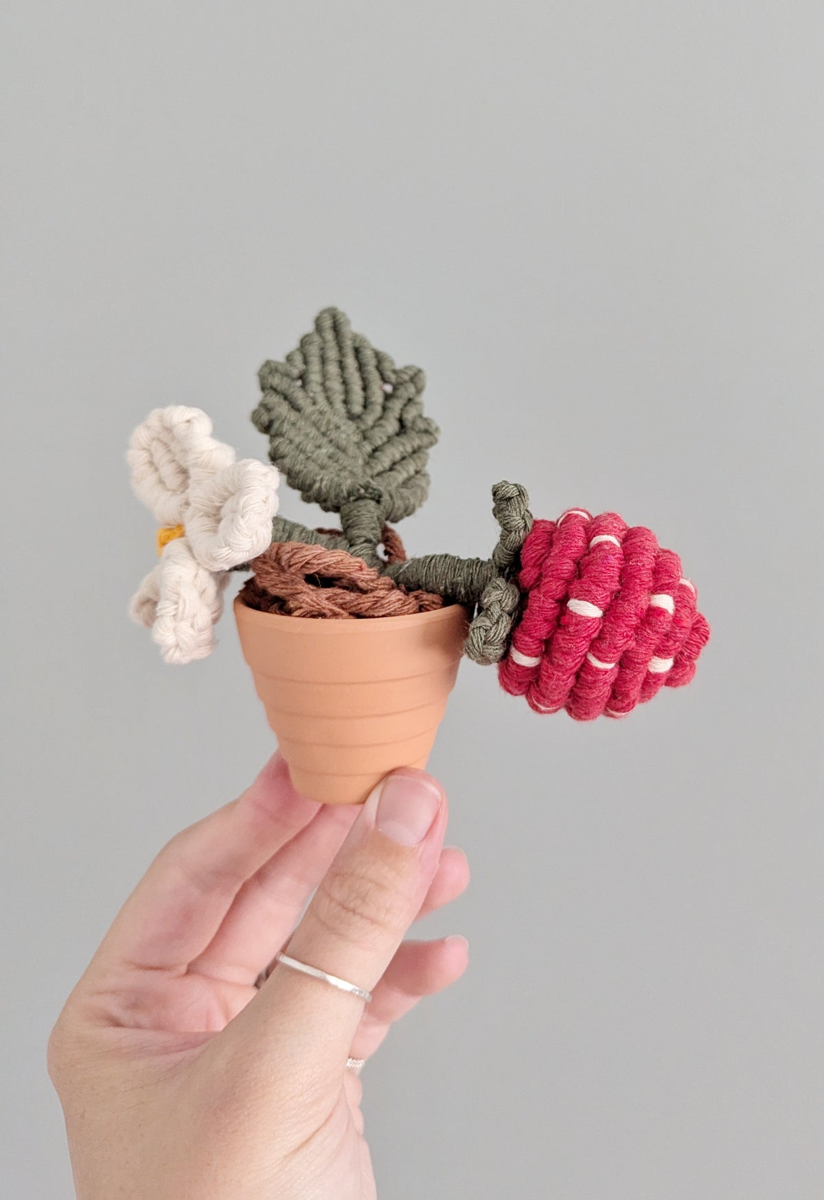 August - Macrame Strawberry Plant