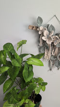 Load and play video in Gallery viewer, Macrame Boho Floral Wall Hanging Sculpture - Cream &amp; Sage
