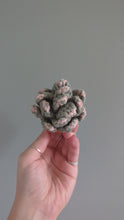 Load and play video in Gallery viewer, Macrame 3D Succulent Pattern/kit
