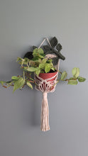 Load and play video in Gallery viewer, Macrame Wall Plant hanger with Leaves
