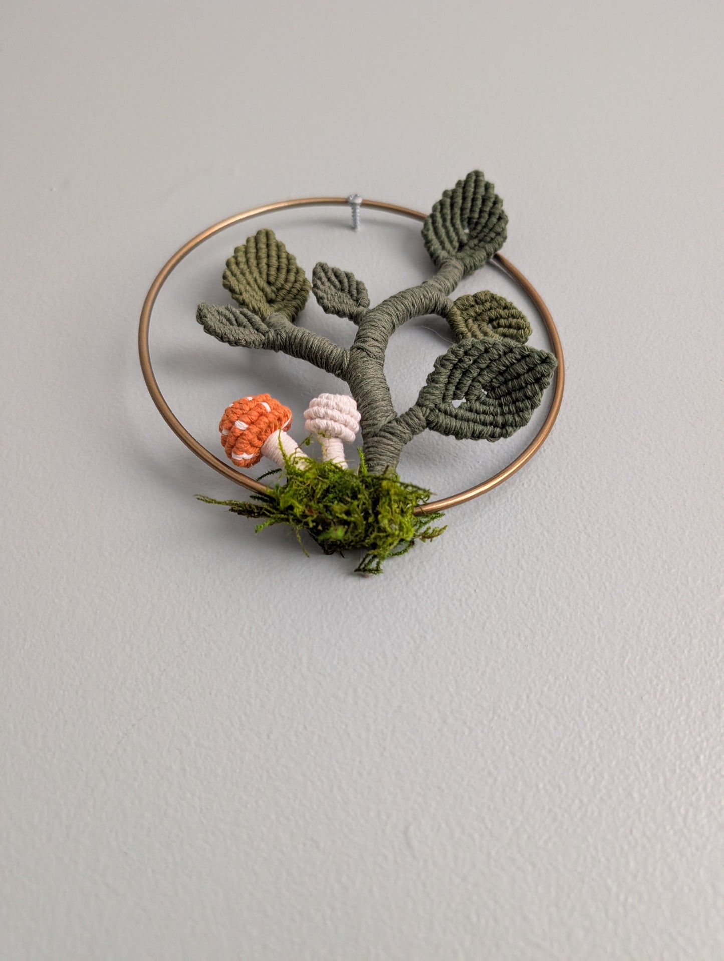 Mini Leafy Frames - Mushrooms & Dried Florals - Option 3